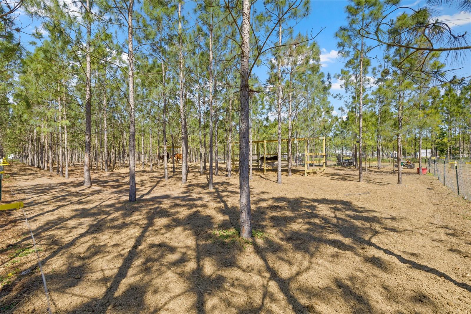 4305 HAMILTON RD, LAKELAND, FL, 33811