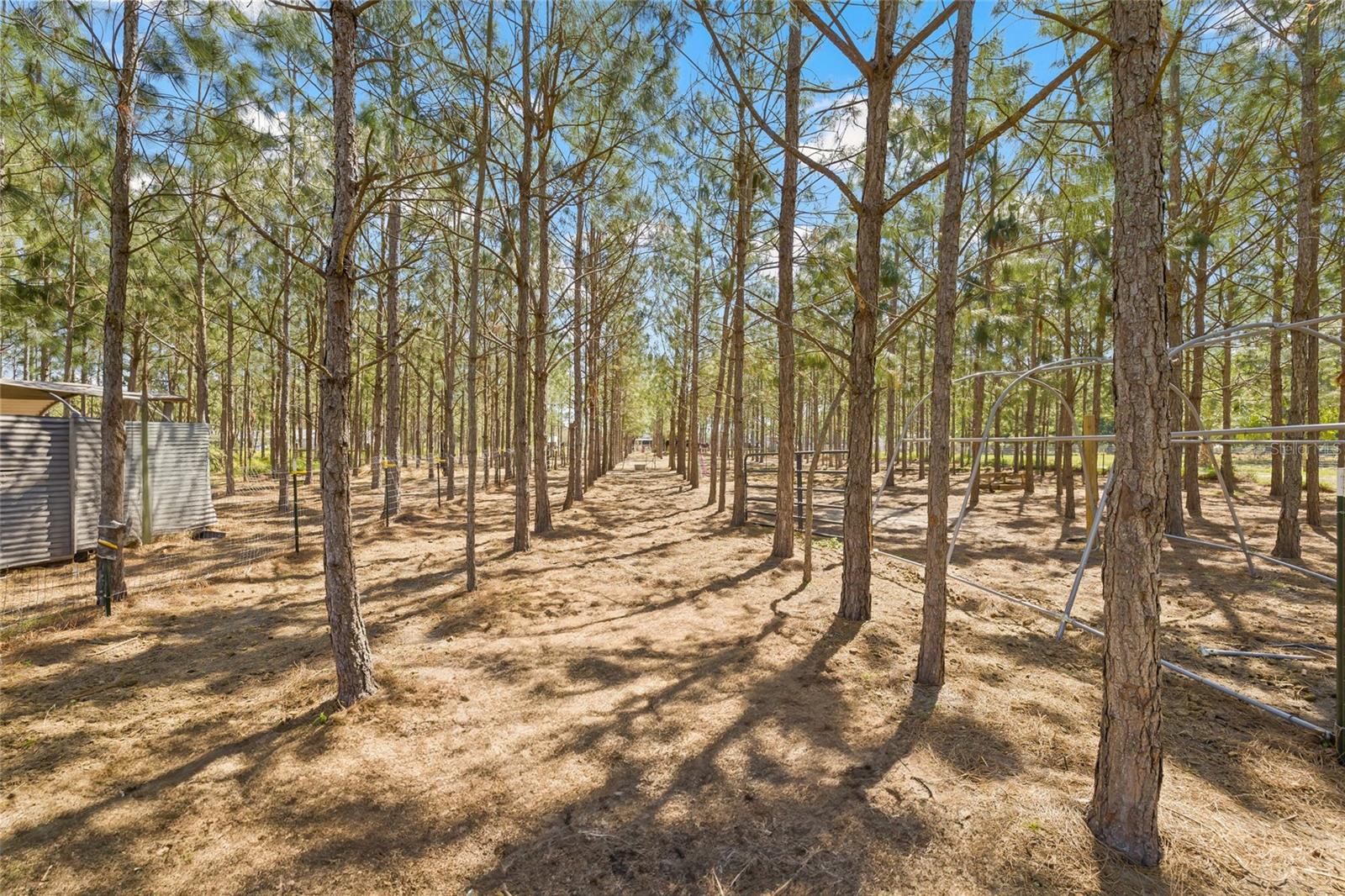 4305 HAMILTON RD, LAKELAND, FL, 33811
