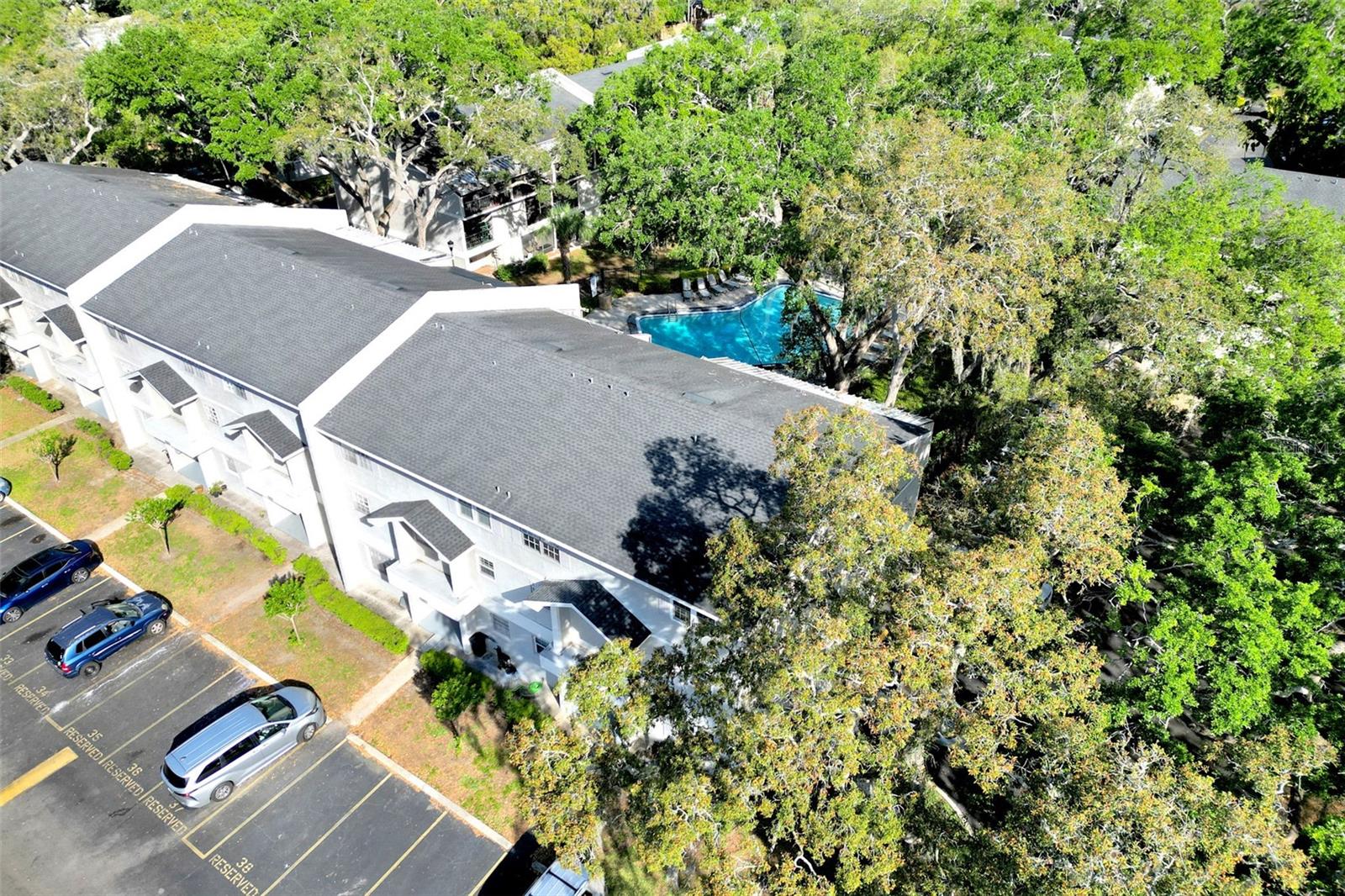 14428 REUTER STRASSE CIR #118, TAMPA, FL, 33613