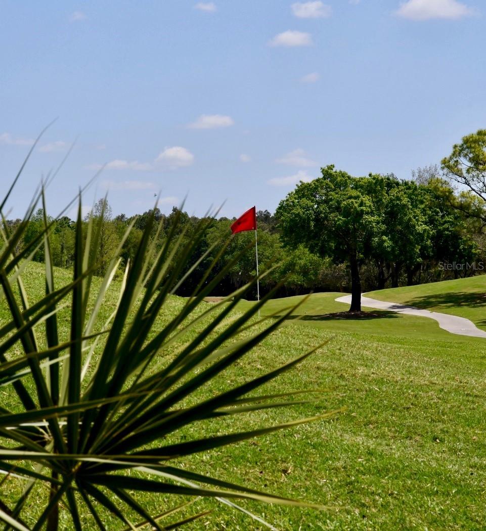 6505 STONE RIVER RD #306, BRADENTON, FL, 34203