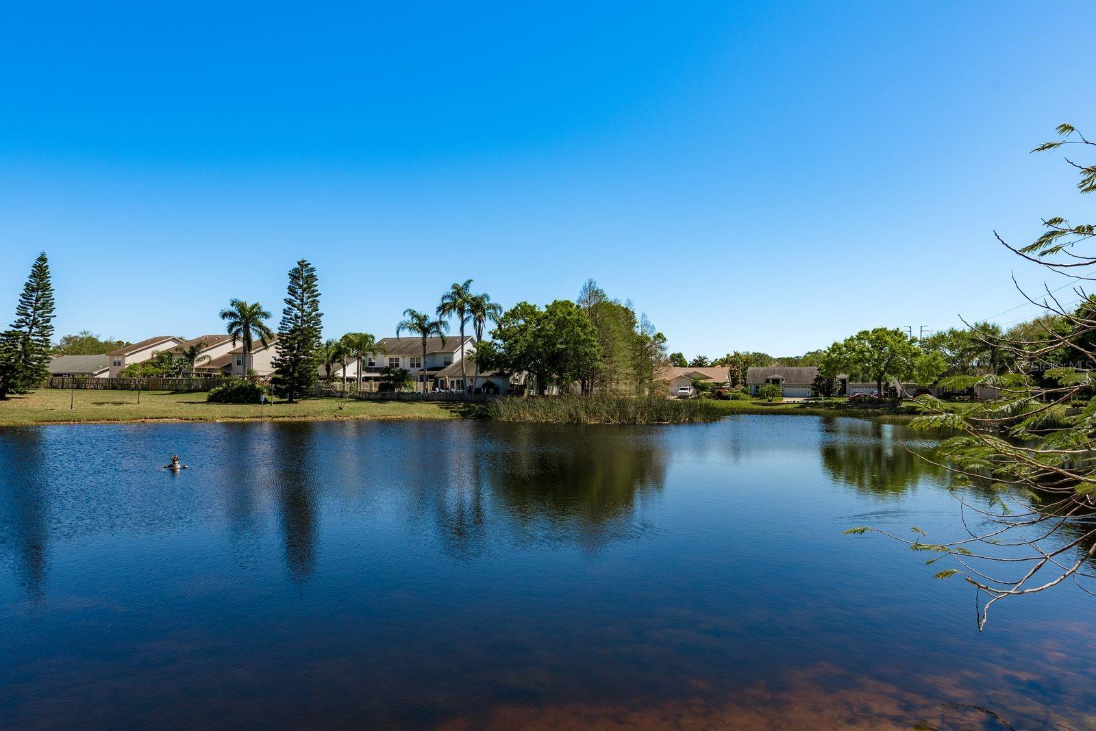 2991 COVEWOOD PL, CLEARWATER, FL, 33761