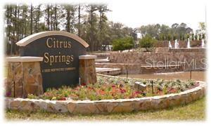 719 HALLAM DR, CITRUS SPRINGS, FL, 34434