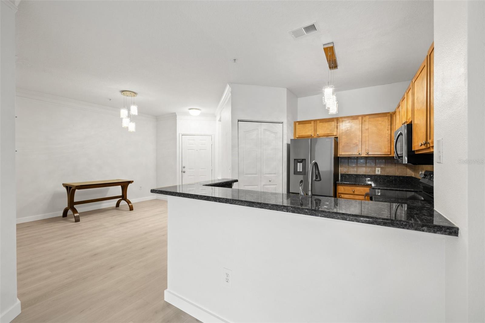 4207 S DALE MABRY HWY #11203, TAMPA, FL, 33611