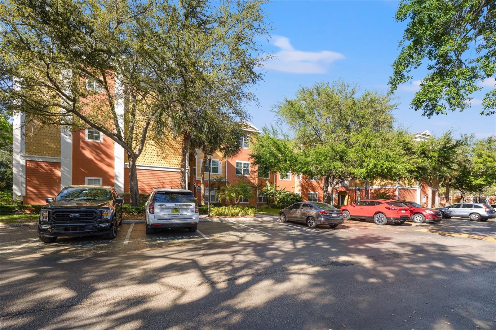 4207 S DALE MABRY HWY #11203, TAMPA, FL, 33611