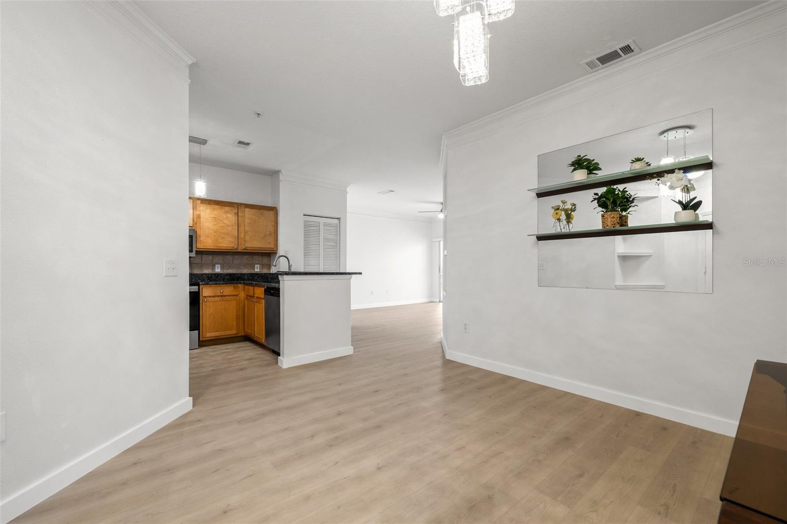 4207 S DALE MABRY HWY #11203, TAMPA, FL, 33611