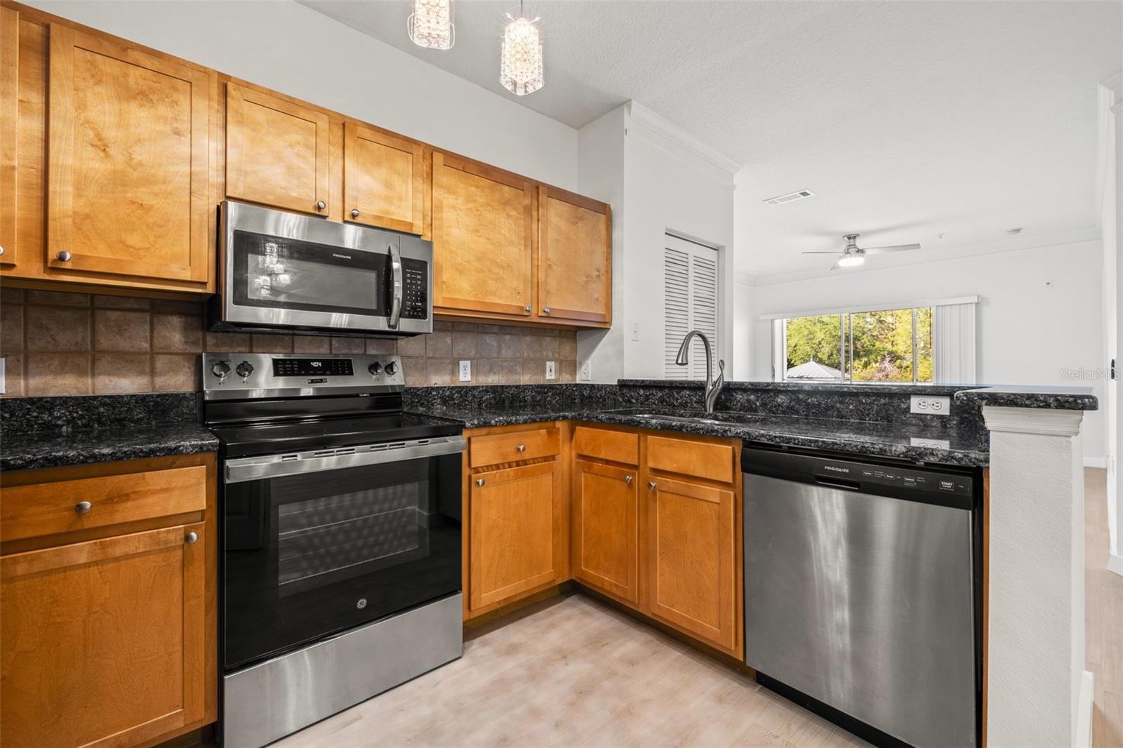 4207 S DALE MABRY HWY #11203, TAMPA, FL, 33611