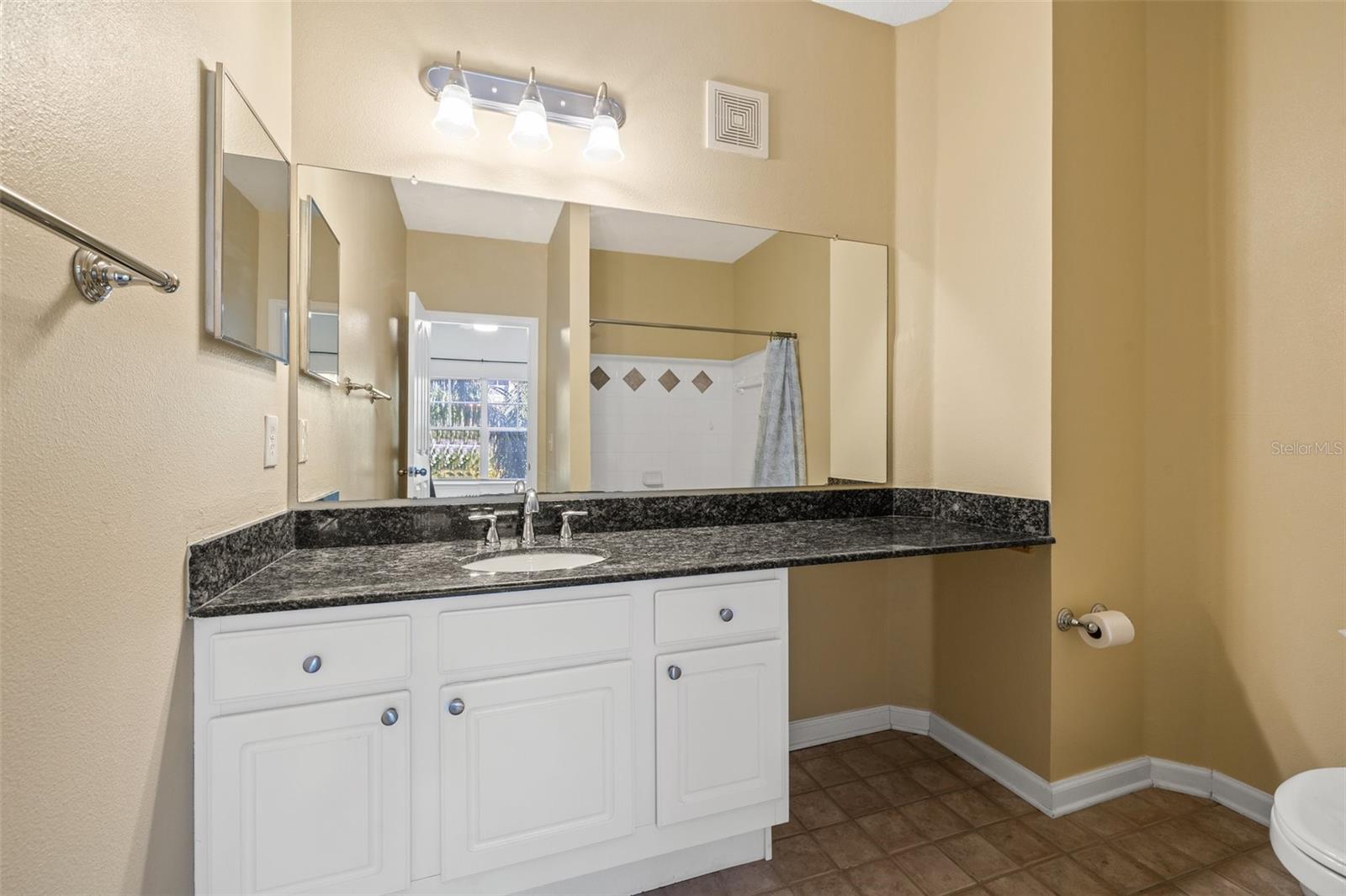 4207 S DALE MABRY HWY #11203, TAMPA, FL, 33611