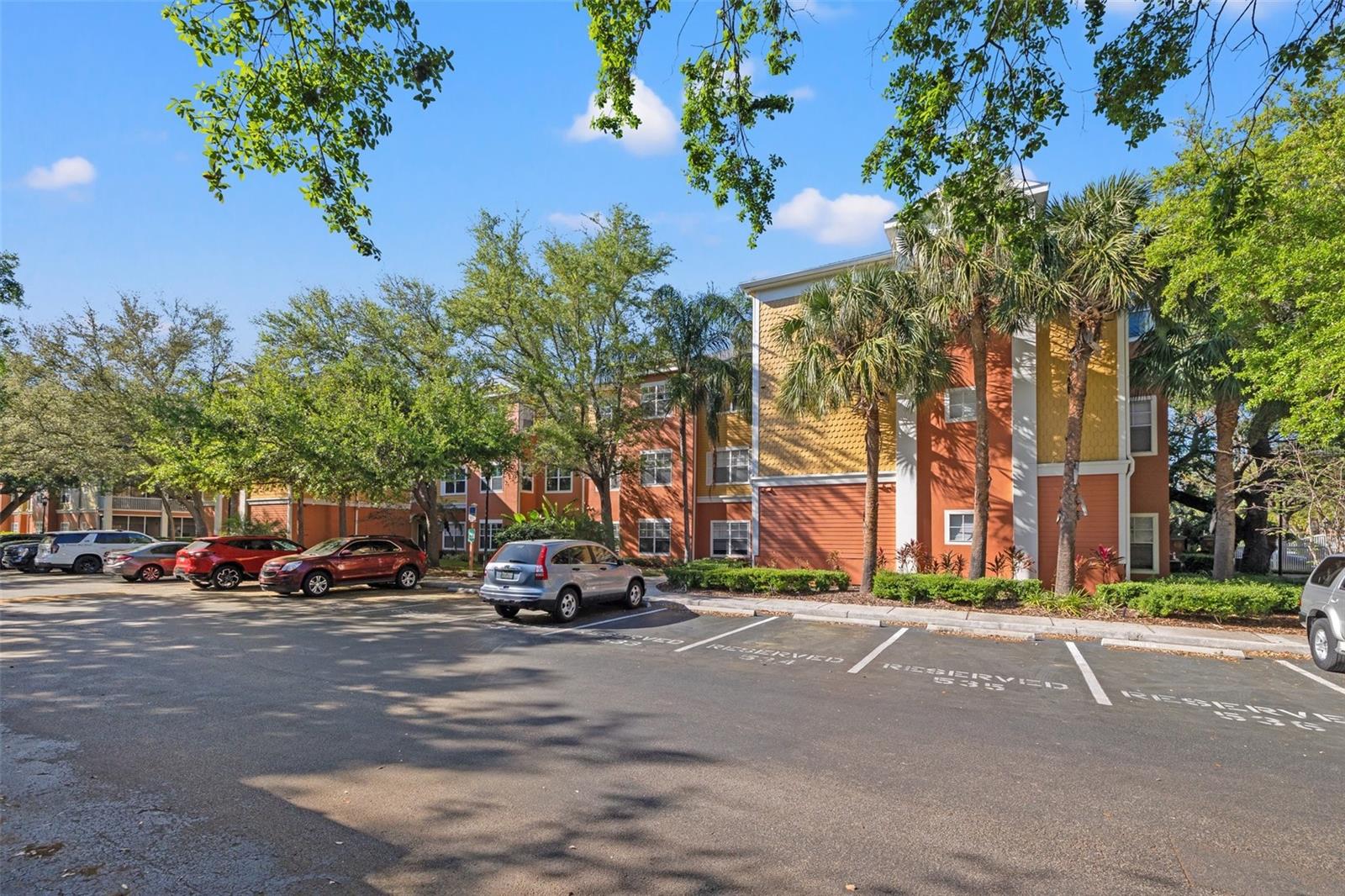 4207 S DALE MABRY HWY #11203, TAMPA, FL, 33611
