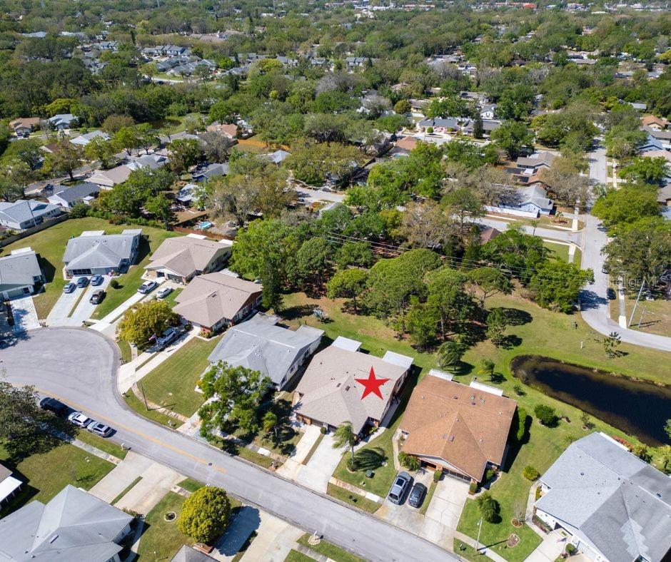 3212 MCMATH DR, PALM HARBOR, FL, 34684