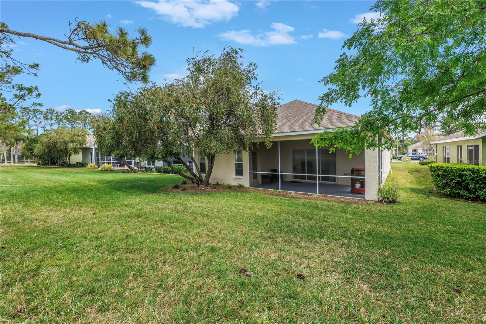 3215 BANYAN HILL LN, LAND O LAKES, FL, 34639