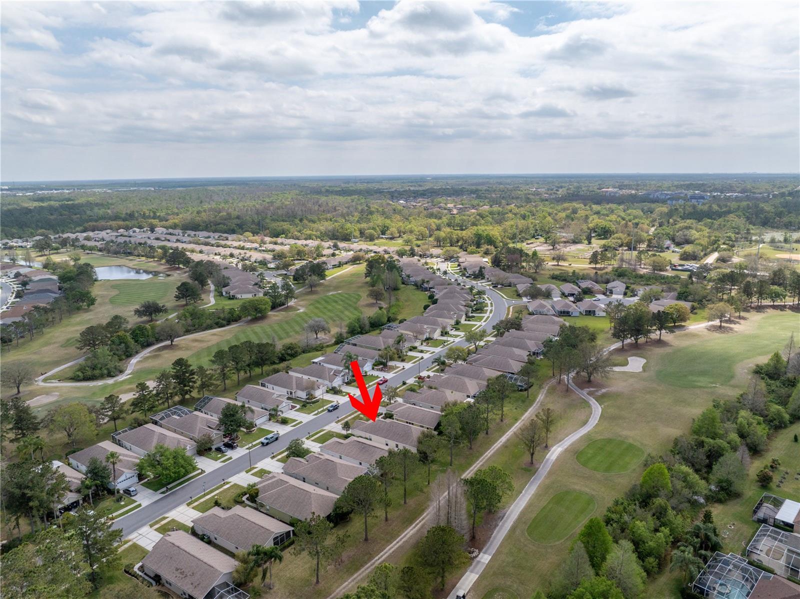 3215 BANYAN HILL LN, LAND O LAKES, FL, 34639