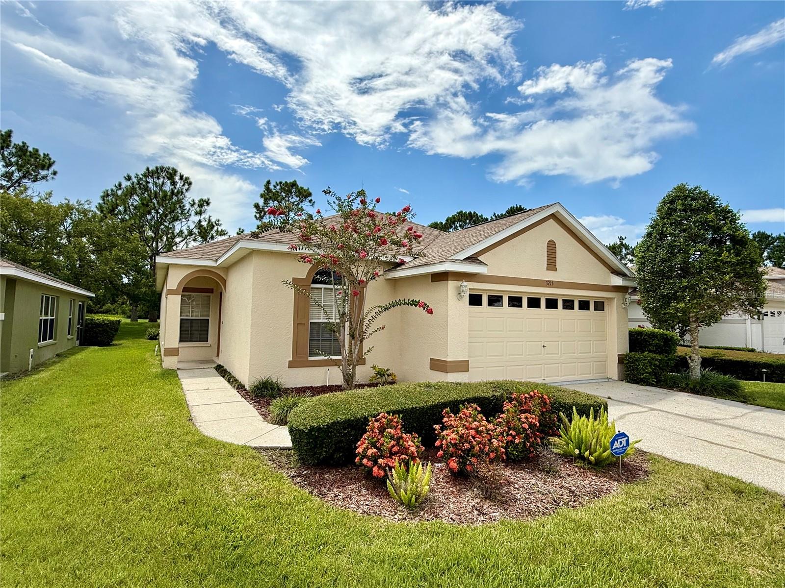 3215 BANYAN HILL LN, LAND O LAKES, FL, 34639