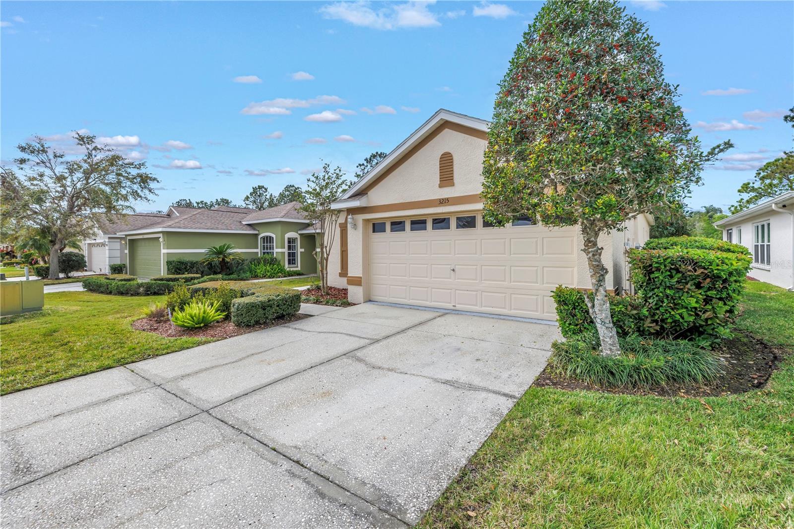 3215 BANYAN HILL LN, LAND O LAKES, FL, 34639