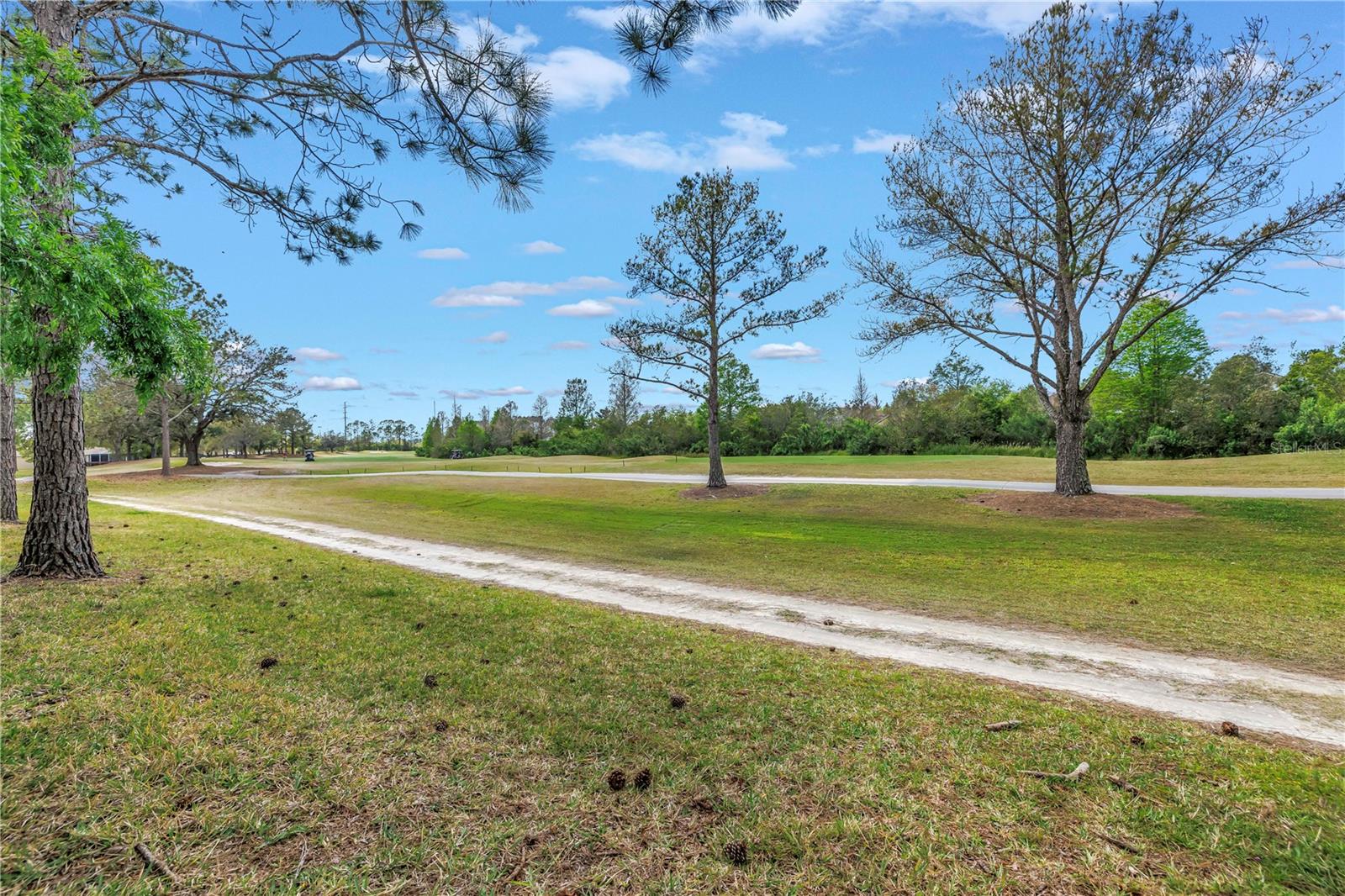 3215 BANYAN HILL LN, LAND O LAKES, FL, 34639