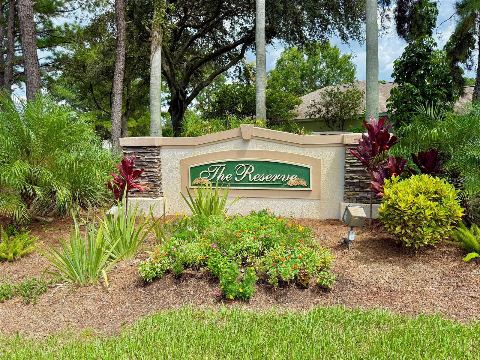 3215 BANYAN HILL LN, LAND O LAKES, FL, 34639