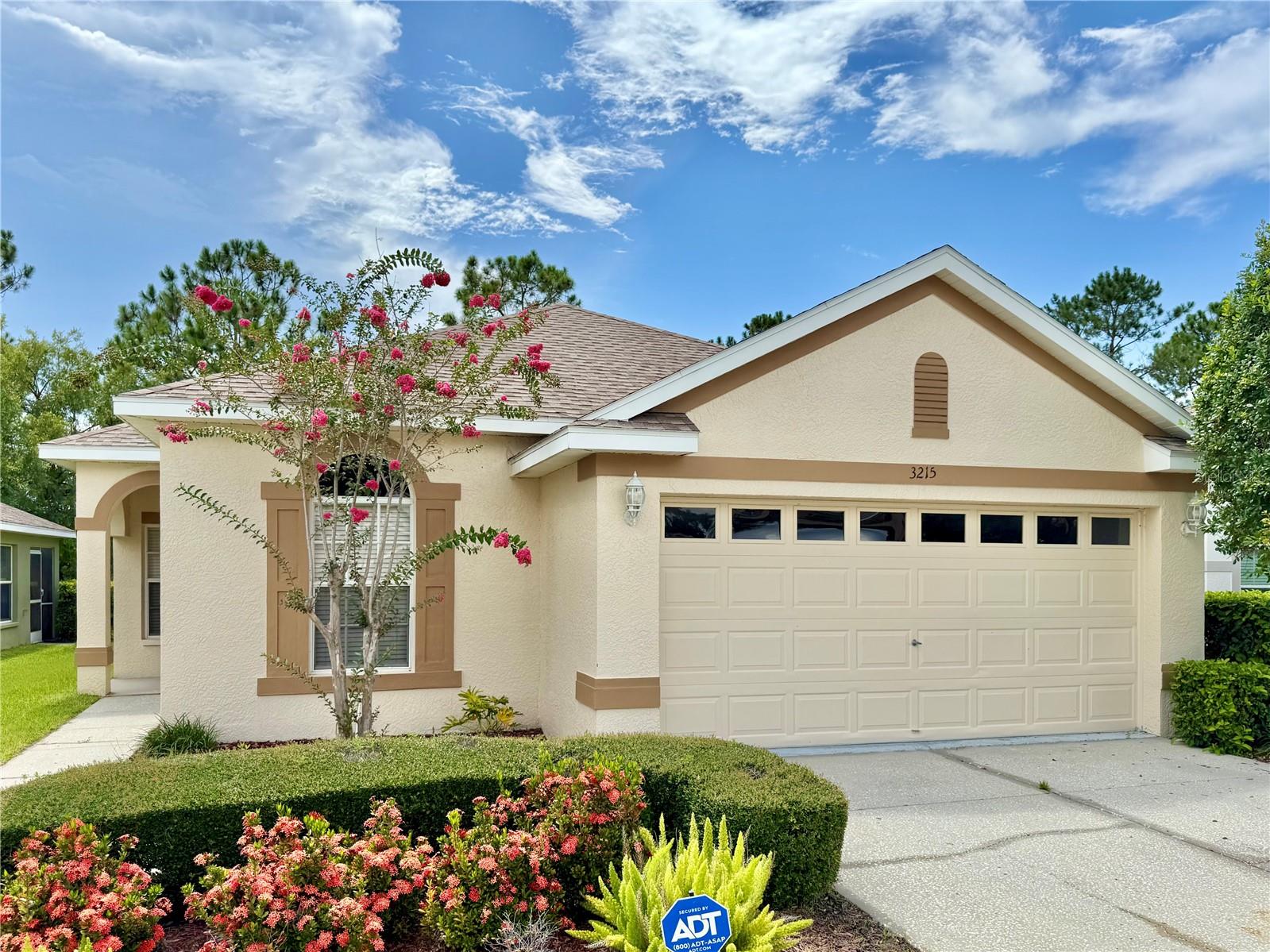 3215 BANYAN HILL LN, LAND O LAKES, FL, 34639