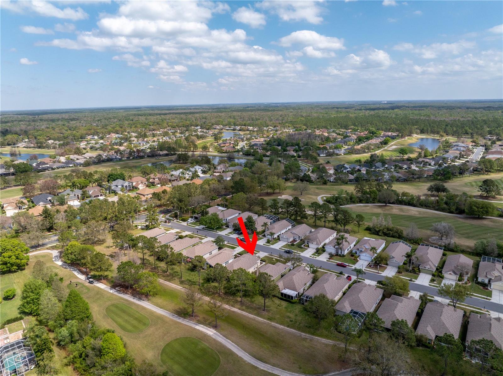 3215 BANYAN HILL LN, LAND O LAKES, FL, 34639