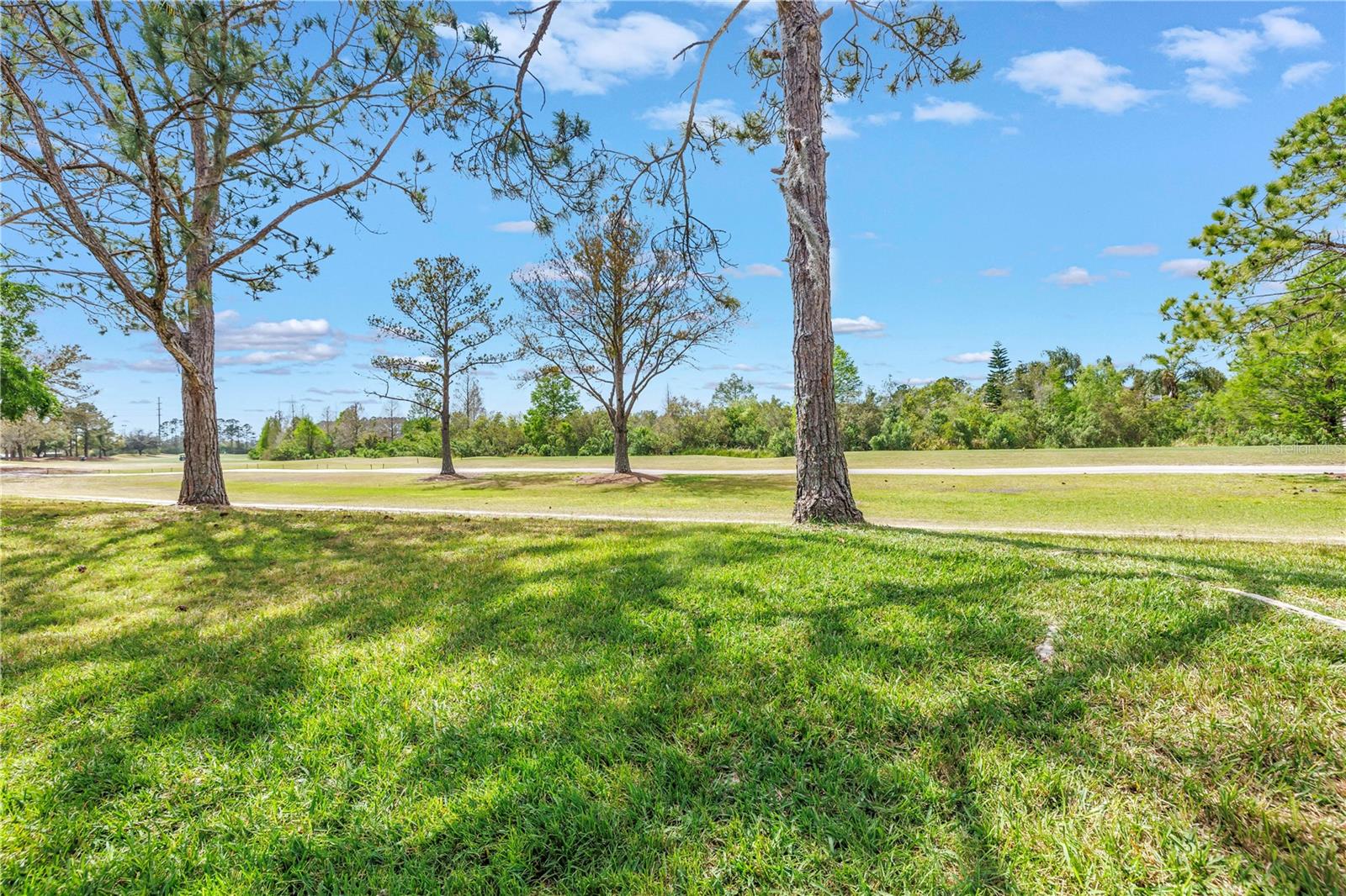 3215 BANYAN HILL LN, LAND O LAKES, FL, 34639