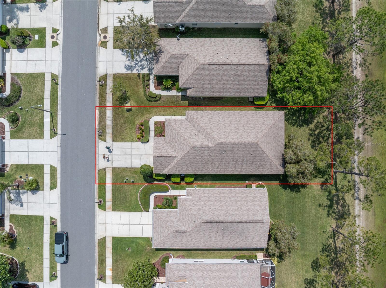 3215 BANYAN HILL LN, LAND O LAKES, FL, 34639