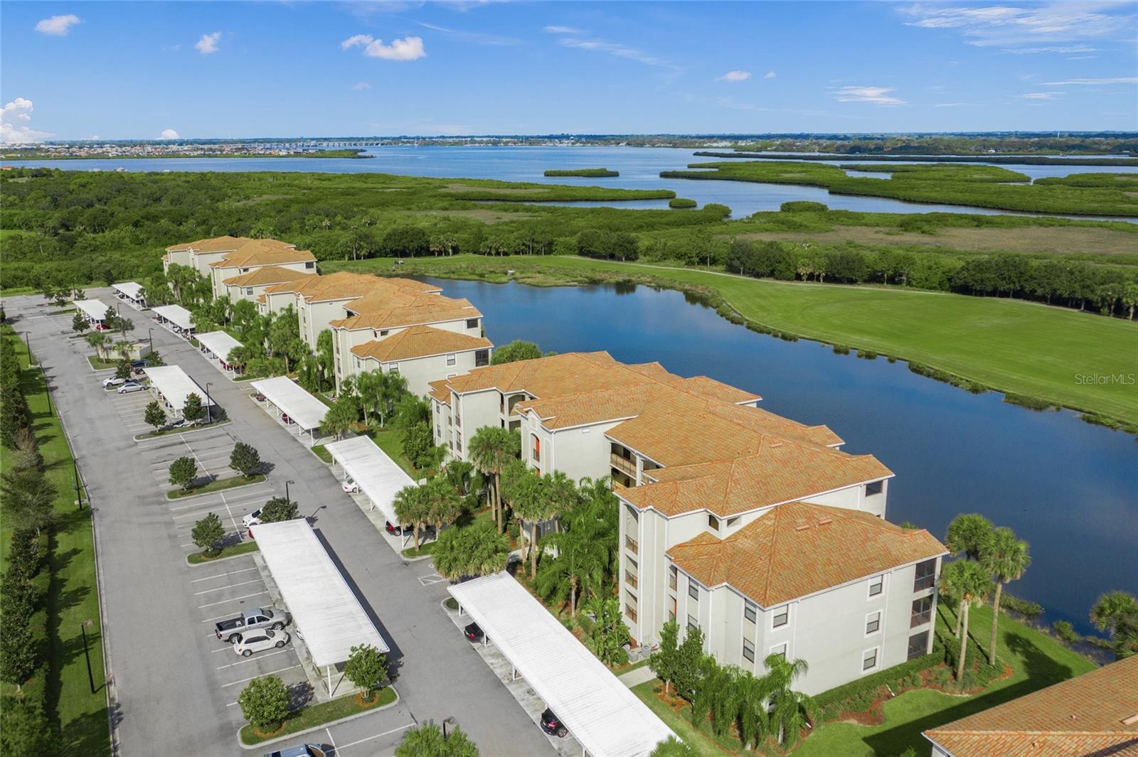 7015 RIVER HAMMOCK DR #204, BRADENTON, FL, 34212