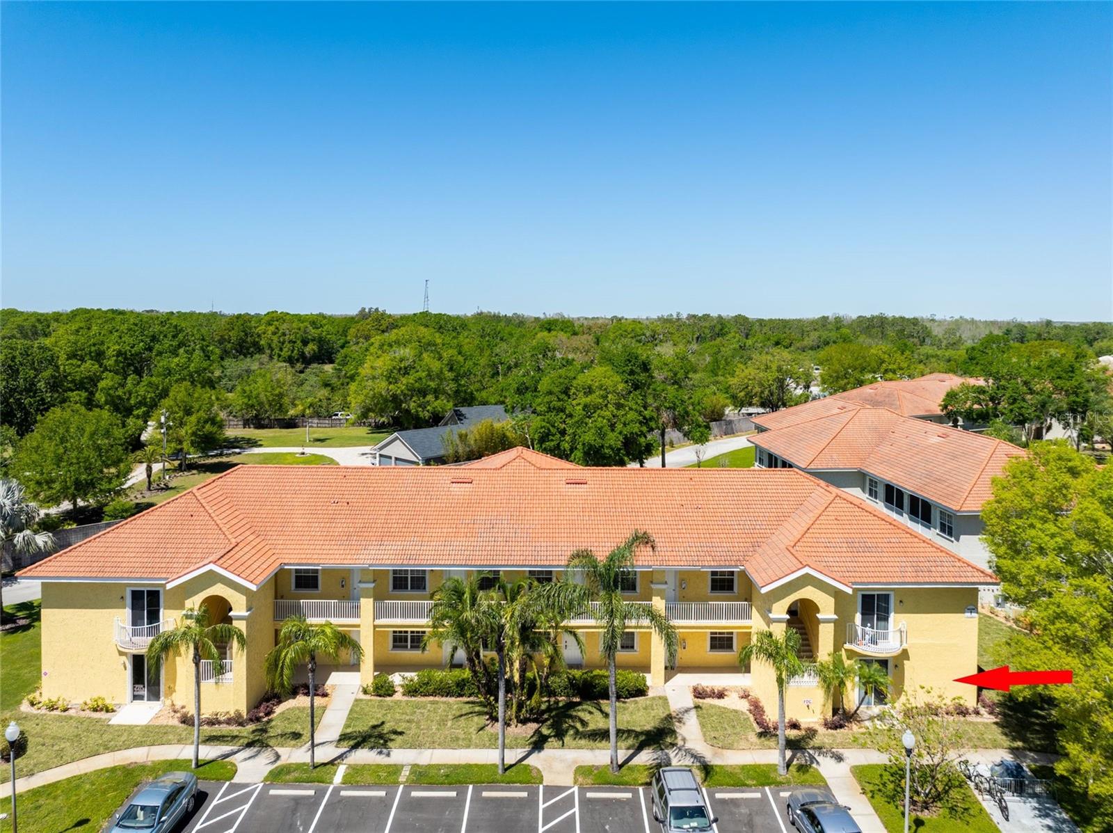 21011 PICASSO CT #101, LAND O LAKES, FL, 34637