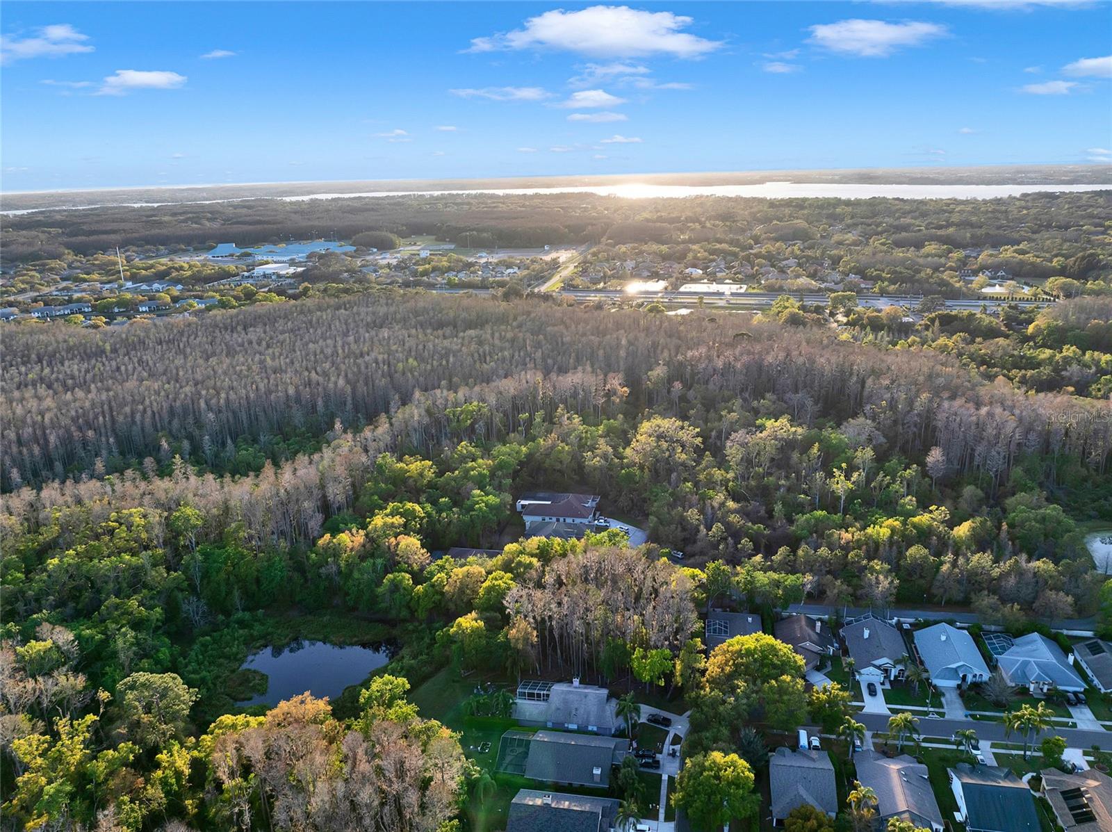 3198 THATCHER LN, TARPON SPRINGS, FL, 34688