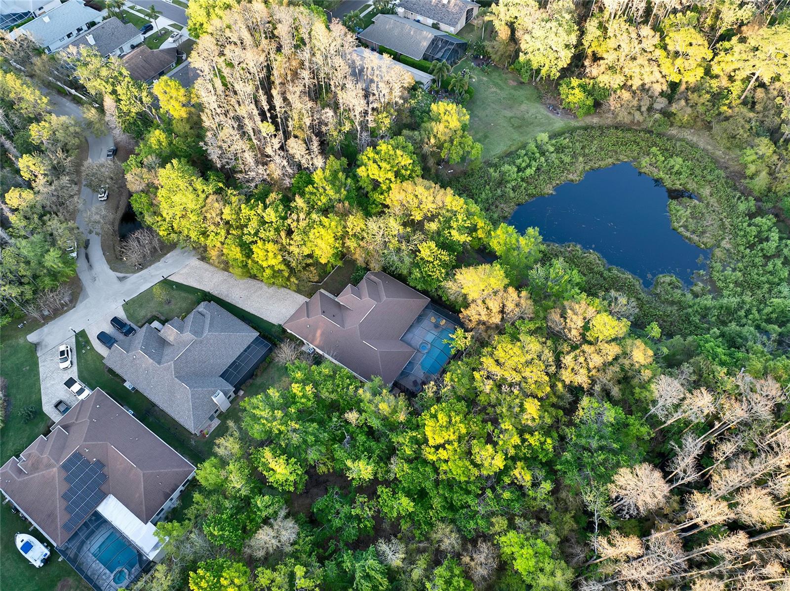 3198 THATCHER LN, TARPON SPRINGS, FL, 34688
