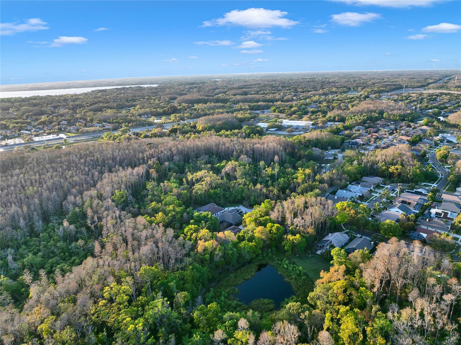 3198 THATCHER LN, TARPON SPRINGS, FL, 34688