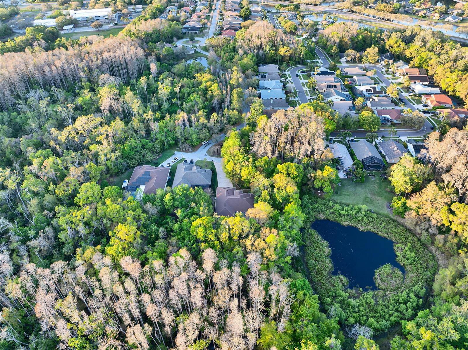 3198 THATCHER LN, TARPON SPRINGS, FL, 34688