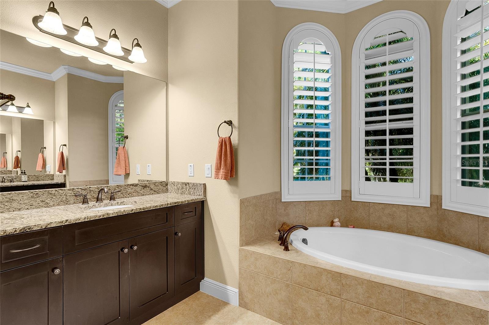3198 THATCHER LN, TARPON SPRINGS, FL, 34688