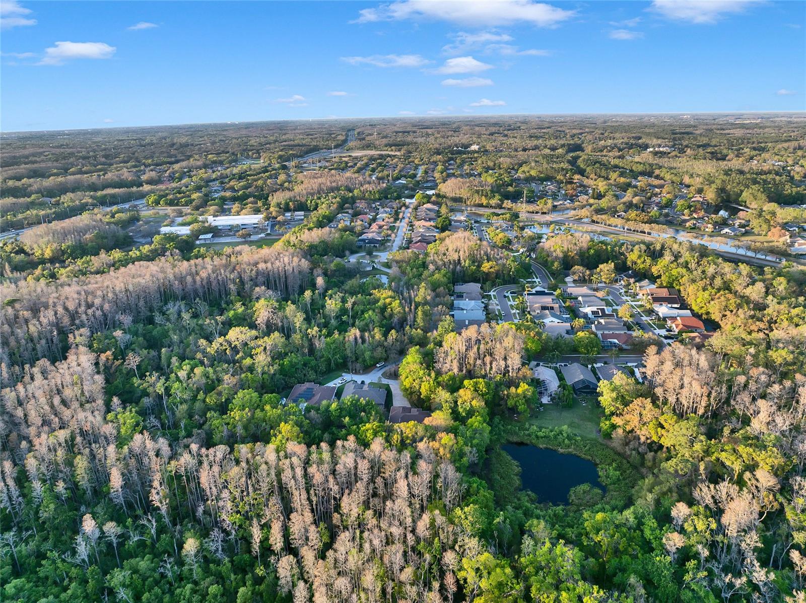 3198 THATCHER LN, TARPON SPRINGS, FL, 34688
