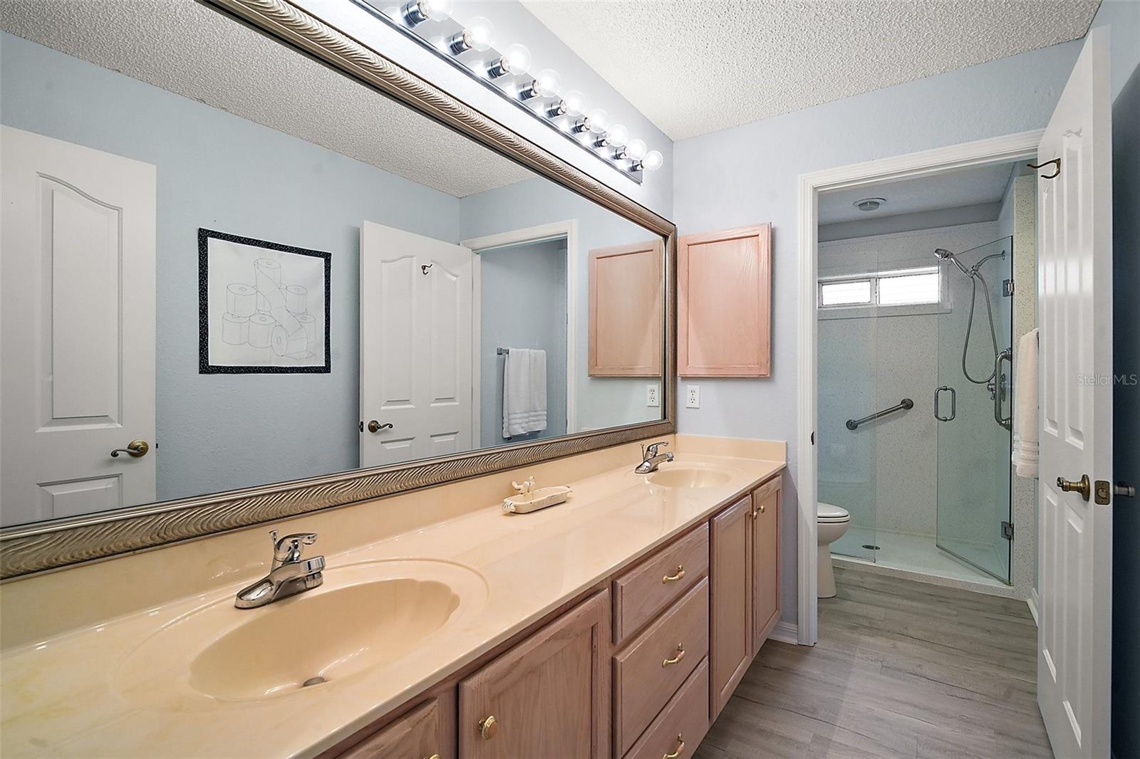 1738 AUGUSTINE DR, THE VILLAGES, FL, 32159