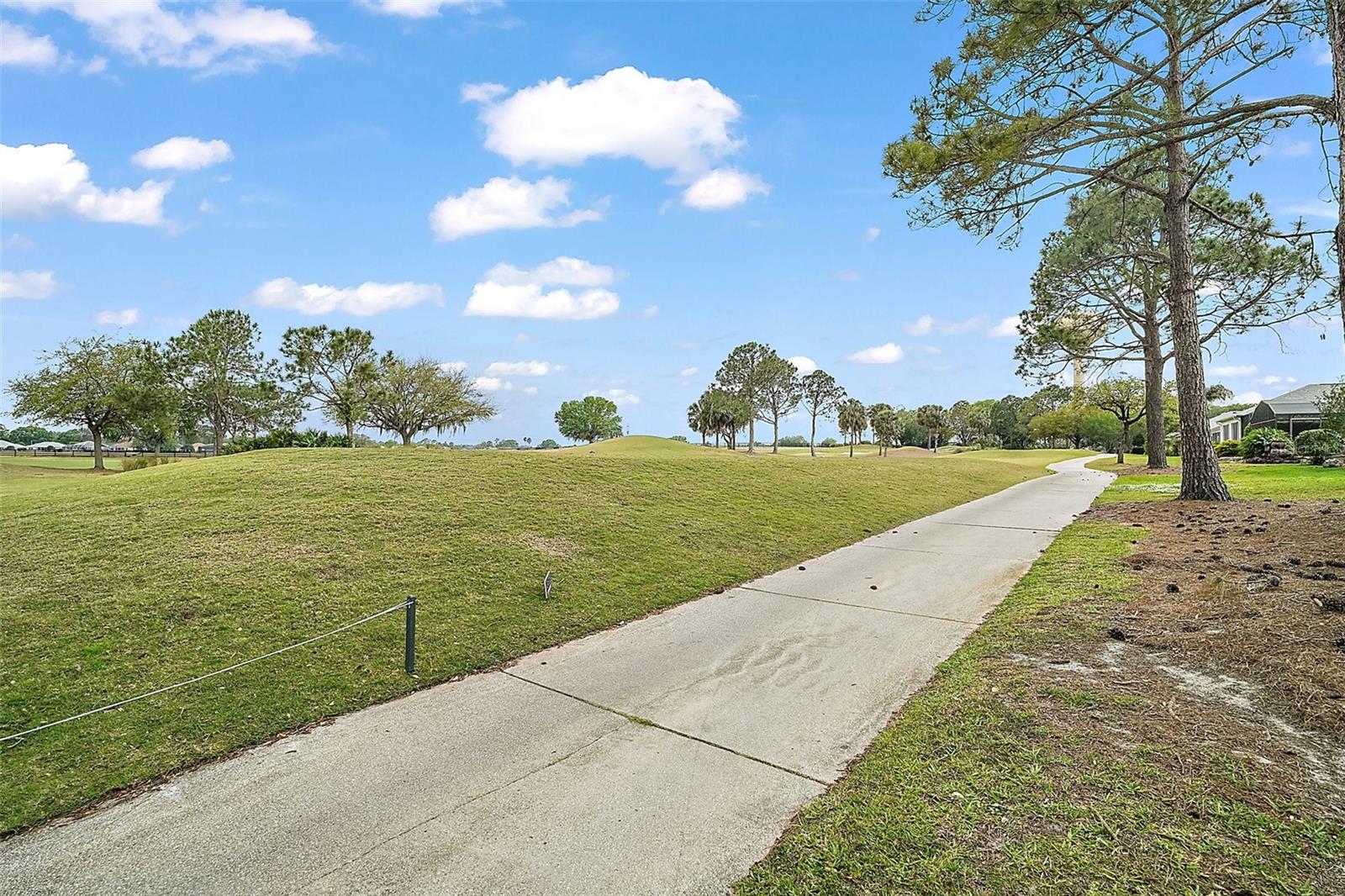 1738 AUGUSTINE DR, THE VILLAGES, FL, 32159