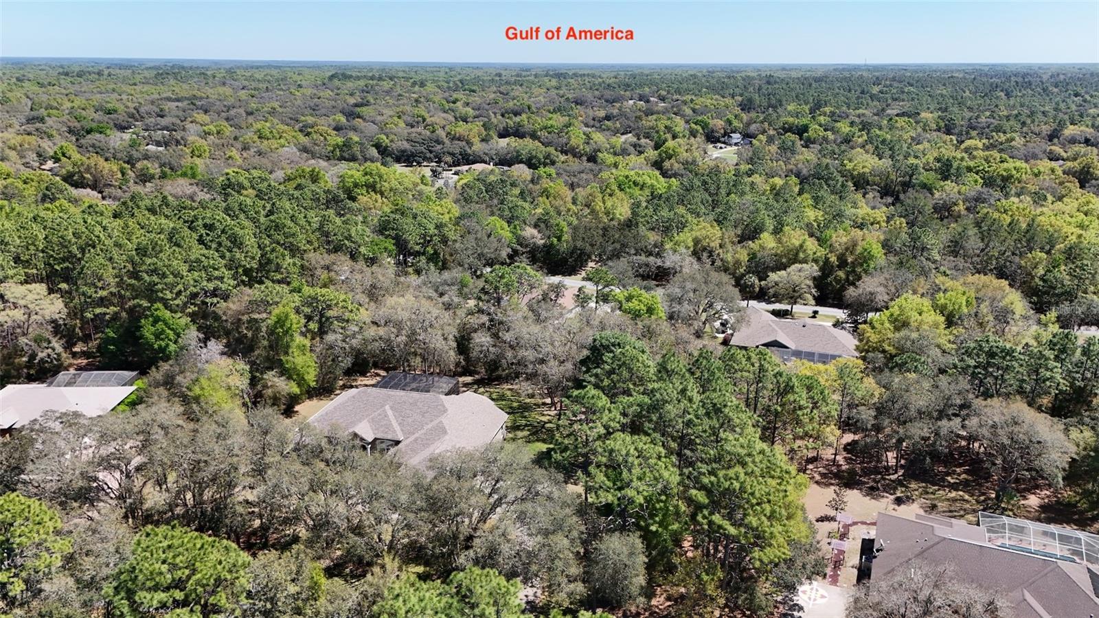 769 E FORESTHILL PL, HERNANDO, FL, 34442