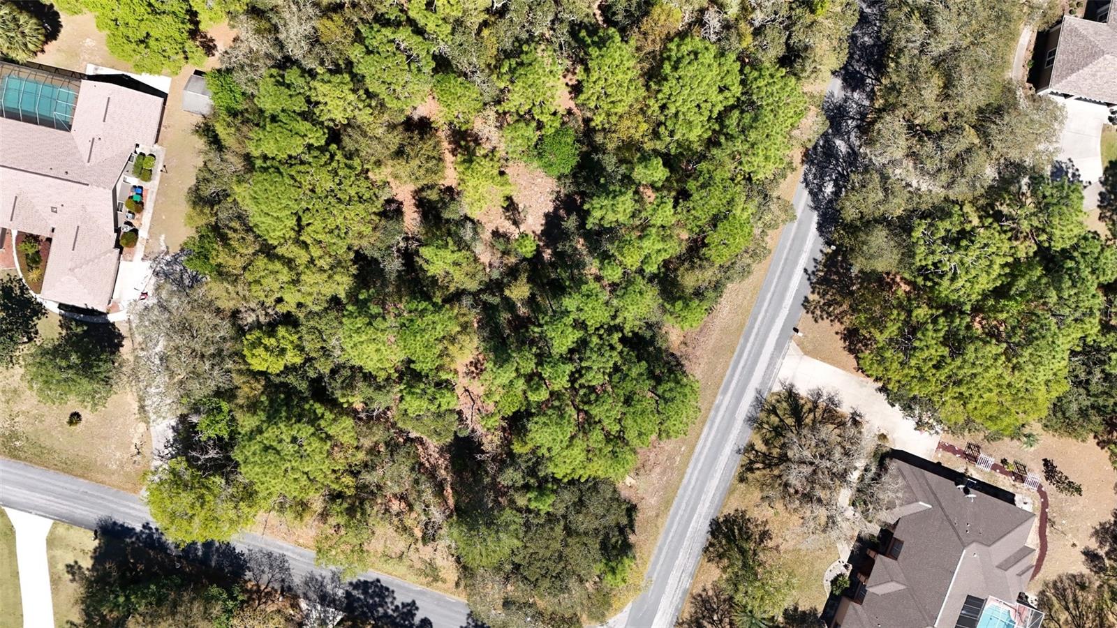 769 E FORESTHILL PL, HERNANDO, FL, 34442
