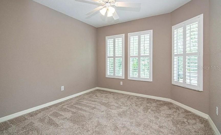 2880 BAYSHORE TRAILS DR, TAMPA, FL, 33611