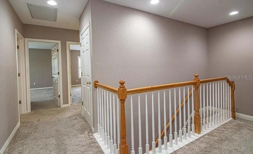 2880 BAYSHORE TRAILS DR, TAMPA, FL, 33611