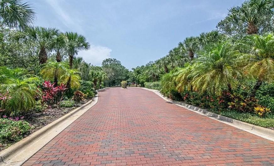 2880 BAYSHORE TRAILS DR, TAMPA, FL, 33611