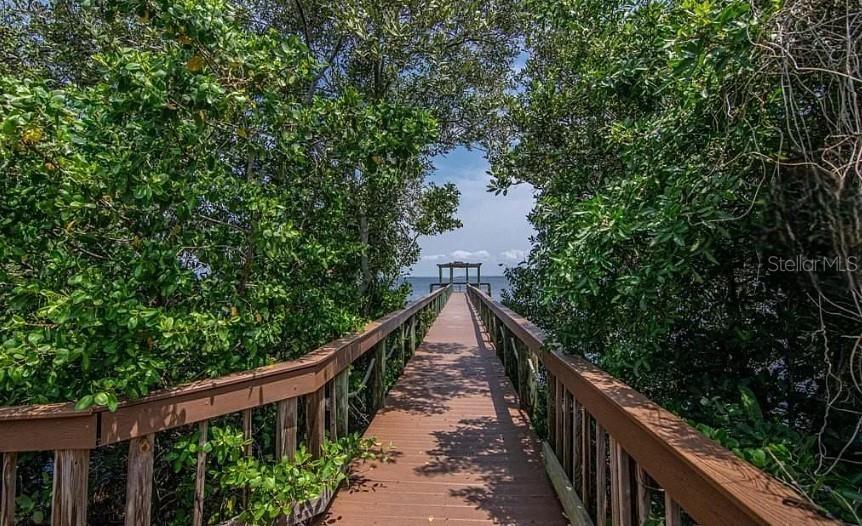 2880 BAYSHORE TRAILS DR, TAMPA, FL, 33611