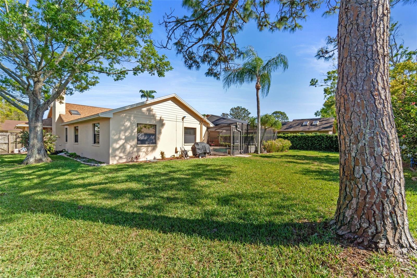 3442 BEECH TRL, CLEARWATER, FL, 33761