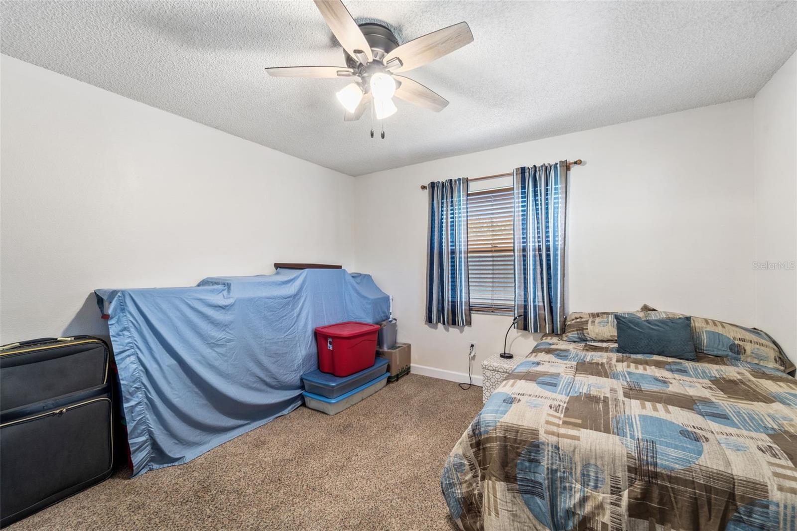 3442 BEECH TRL, CLEARWATER, FL, 33761