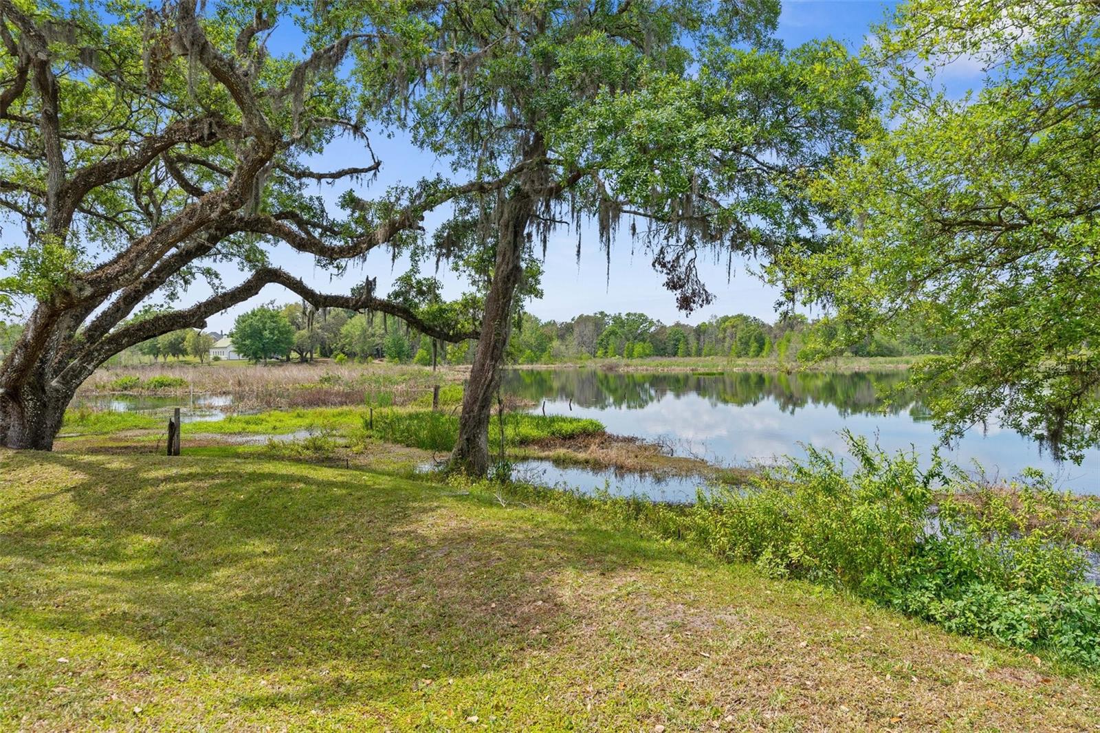 14231 OLD MISSION RD, DADE CITY, FL, 33525
