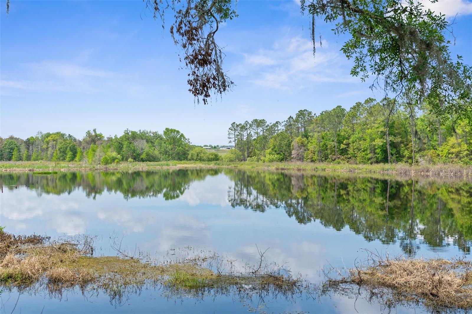 14231 OLD MISSION RD, DADE CITY, FL, 33525