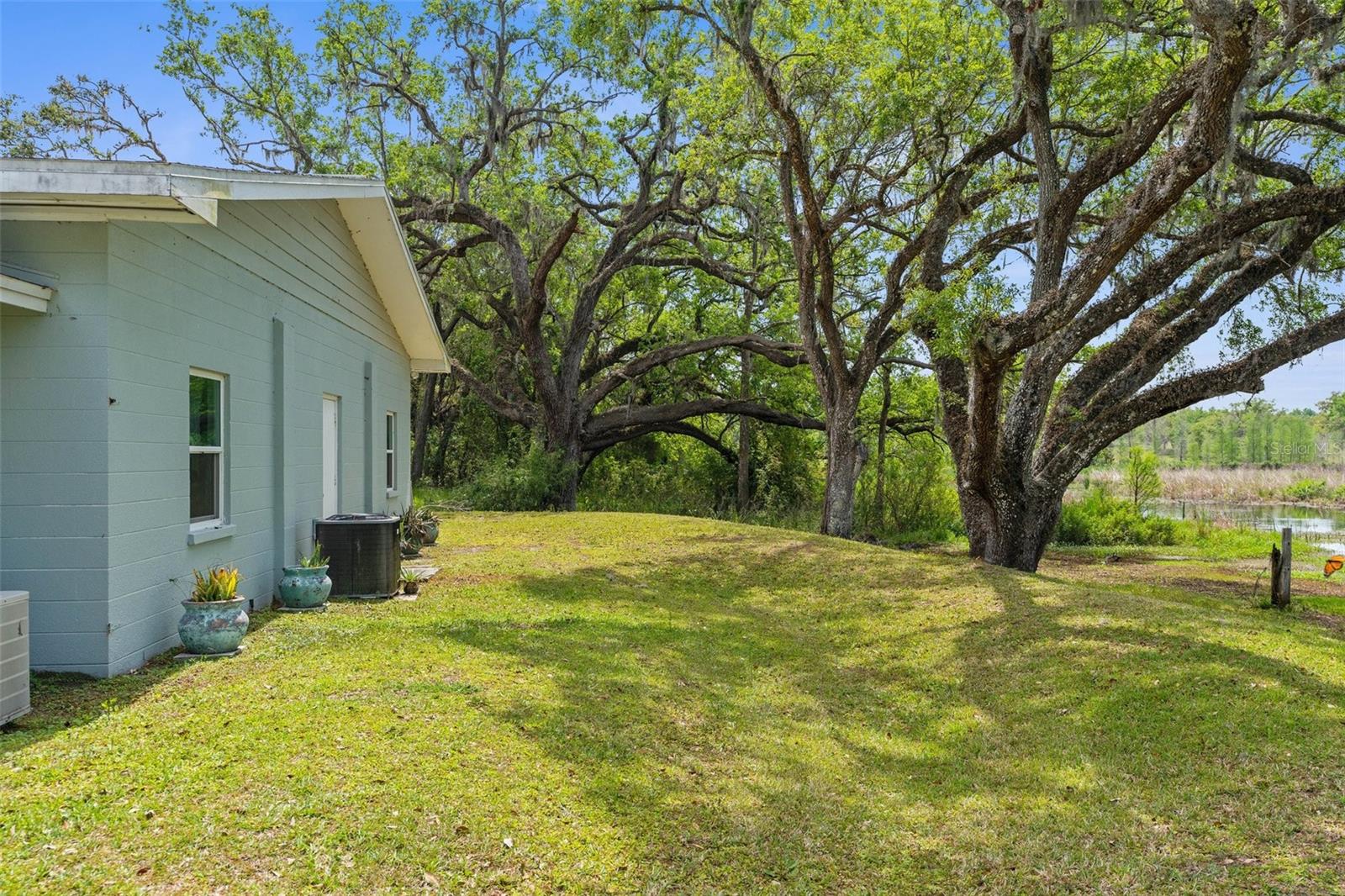 14231 OLD MISSION RD, DADE CITY, FL, 33525