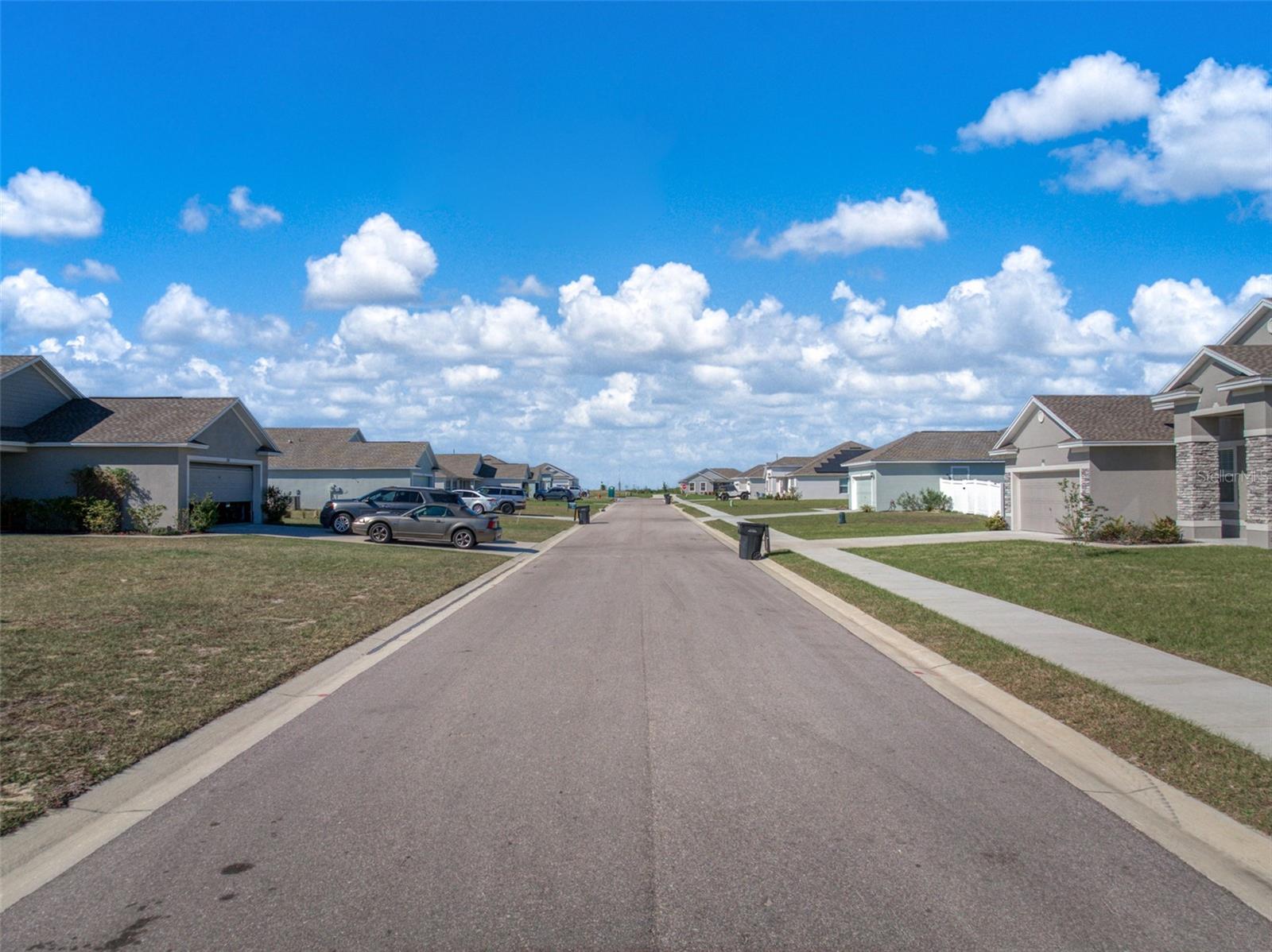 1113 CALOOSA RIDGE WAY, BABSON PARK, FL, 33827