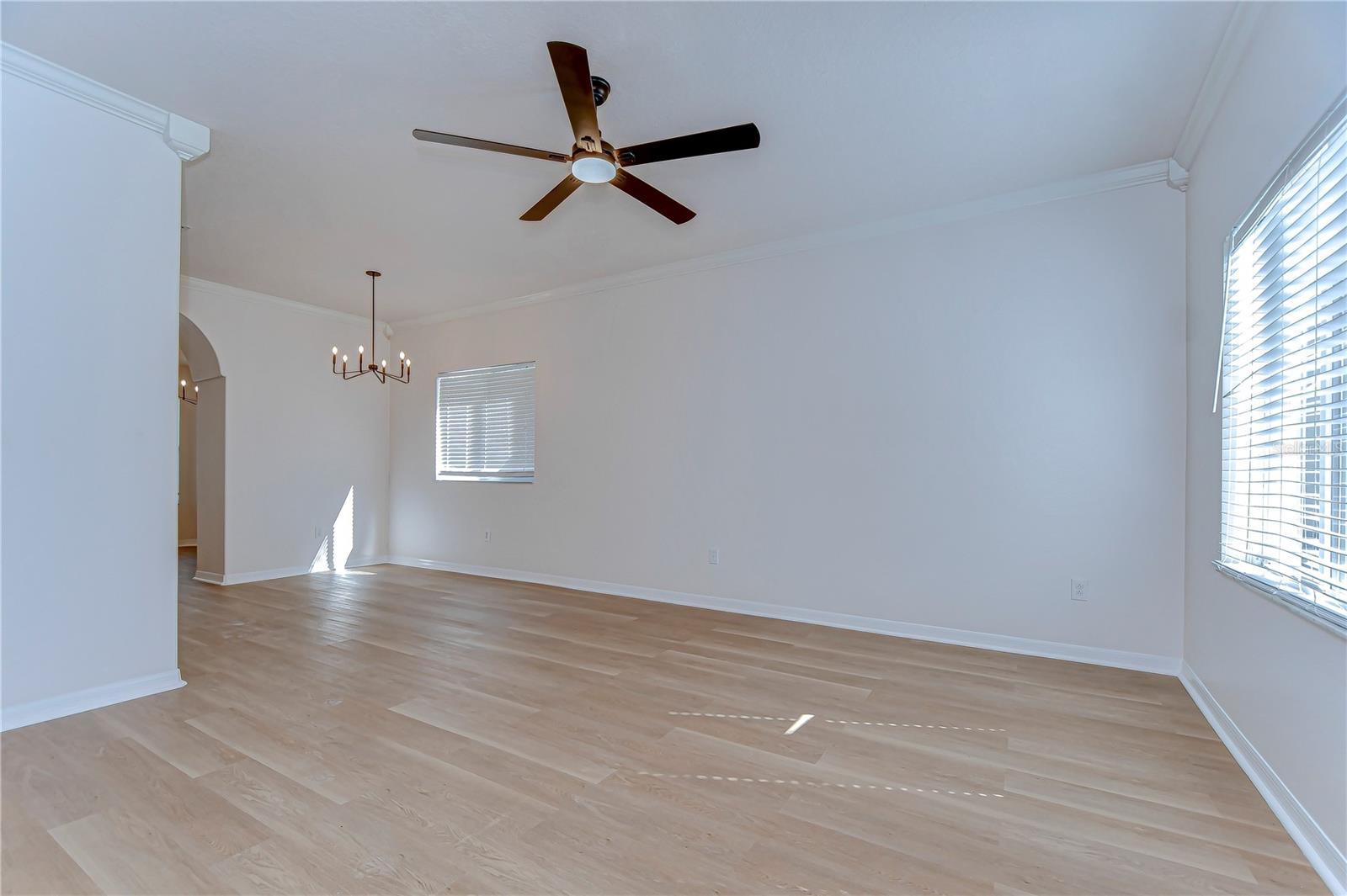 10538 LUCAYA DR, TAMPA, FL, 33647