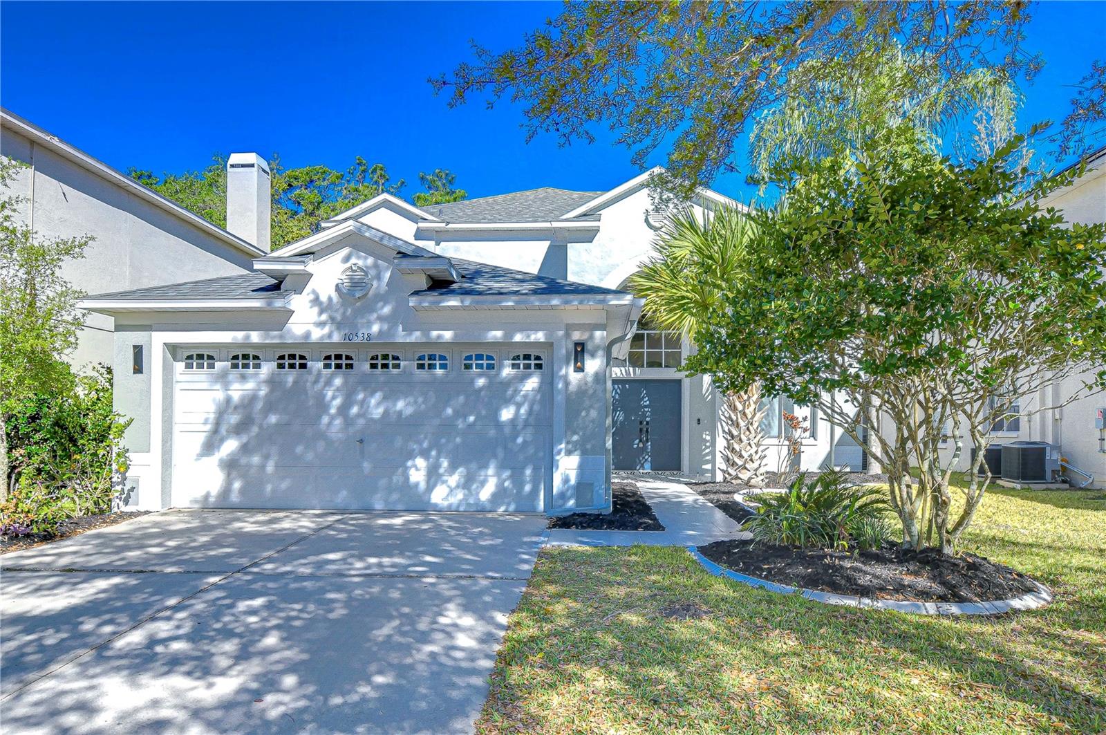 10538 LUCAYA DR, TAMPA, FL, 33647