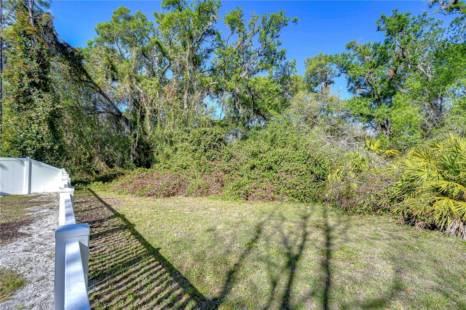 10538 LUCAYA DR, TAMPA, FL, 33647