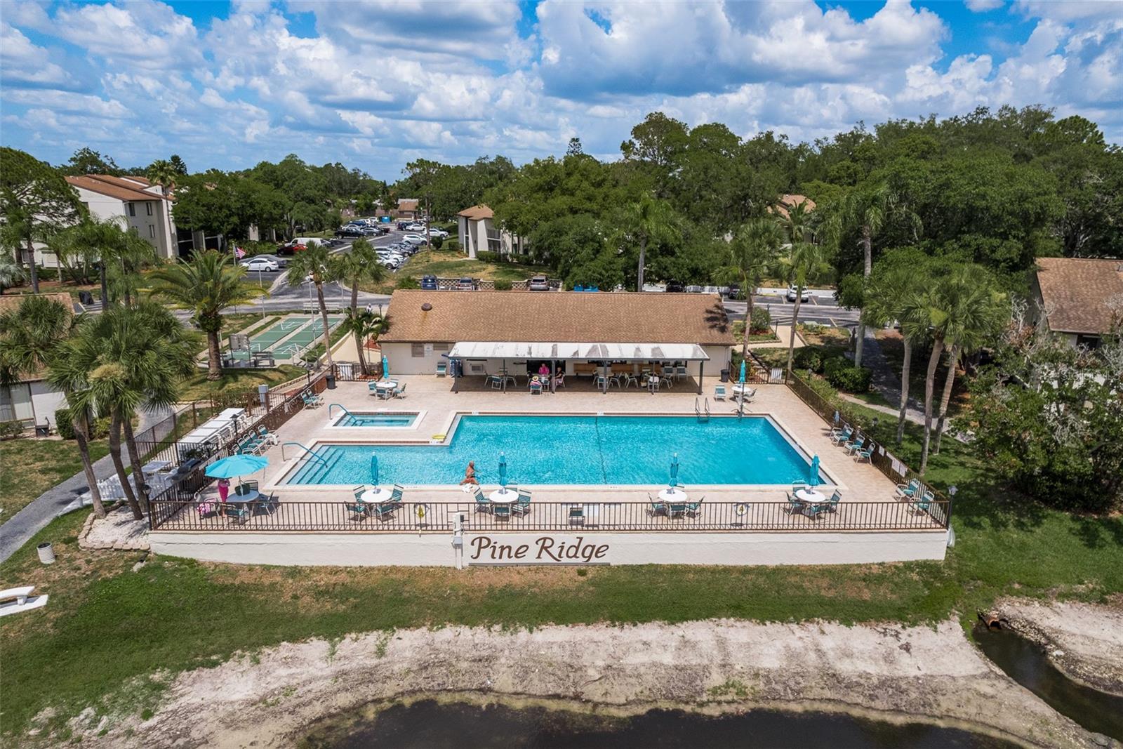 2575 PINE RIDGE WAY S #D1, PALM HARBOR, FL, 34684