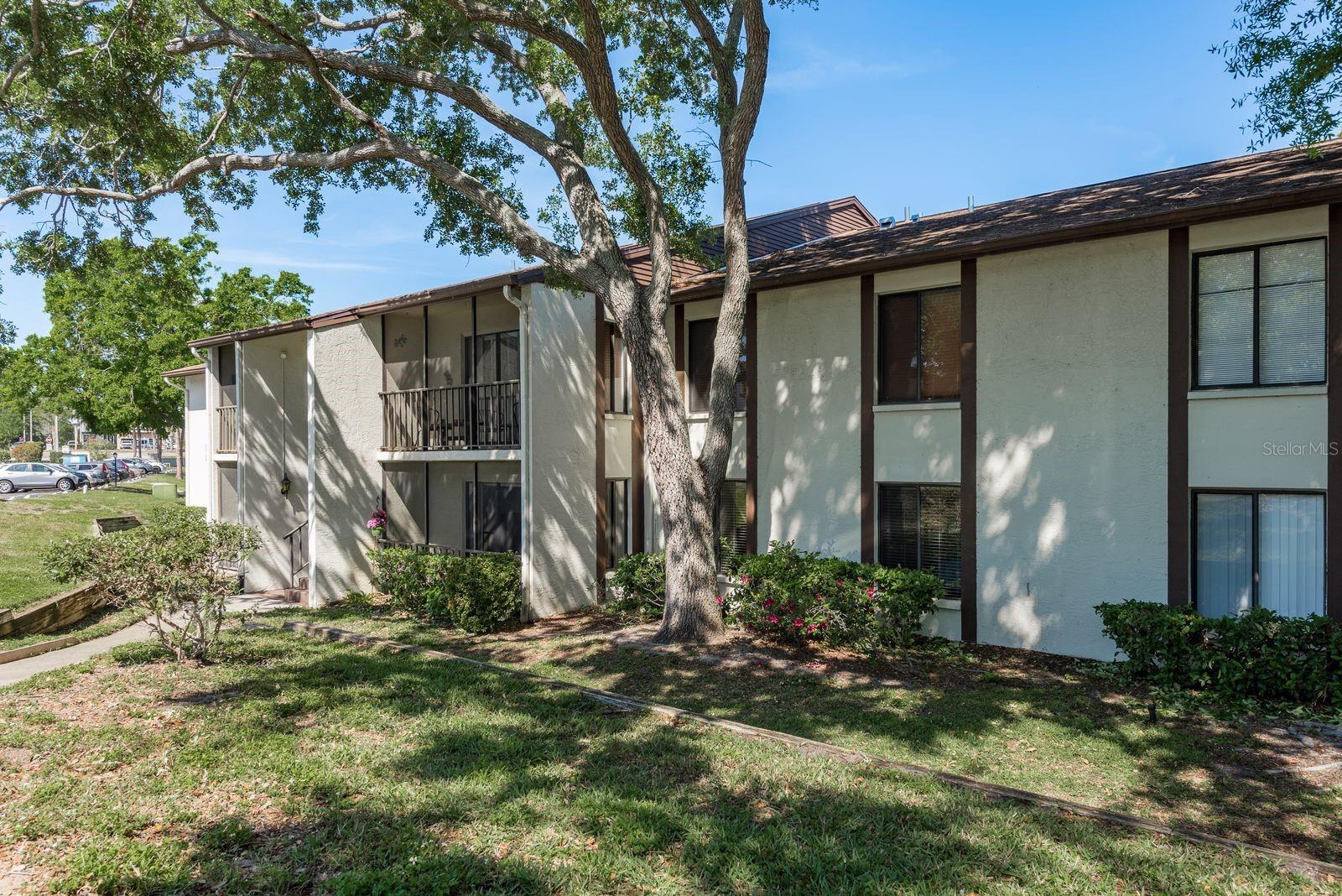 2575 PINE RIDGE WAY S #D1, PALM HARBOR, FL, 34684